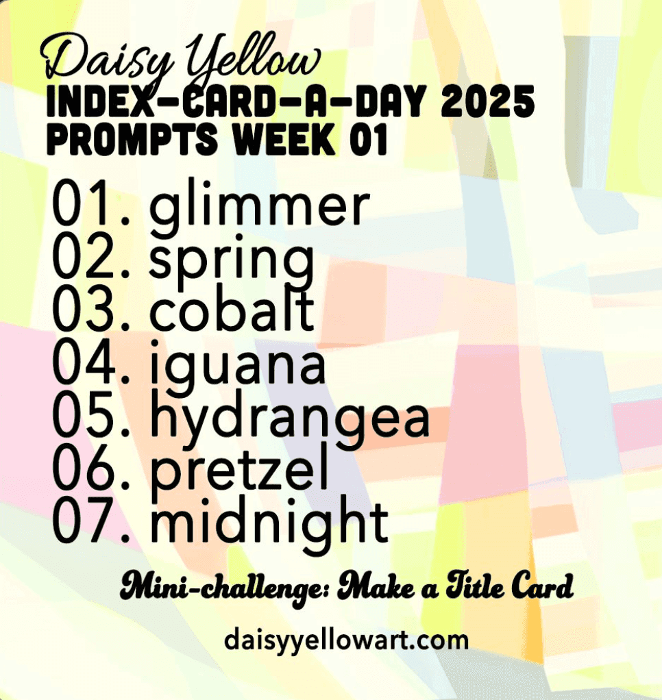 daisy week one.png